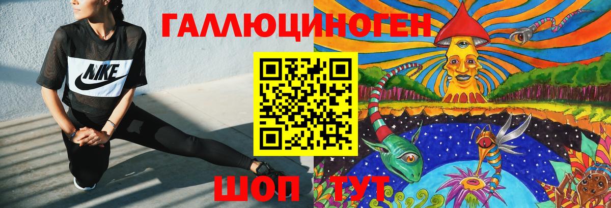 Псилоцибиновые грибы Psilocybe Екатеринбург