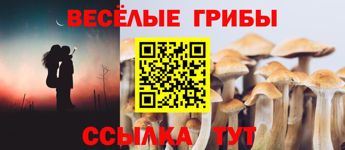 купить наркотики сайты  Псилоцибиновые грибы Magic Shrooms  Екатеринбург  Вход с VPN  Псилоцибиновые грибы мицелий 